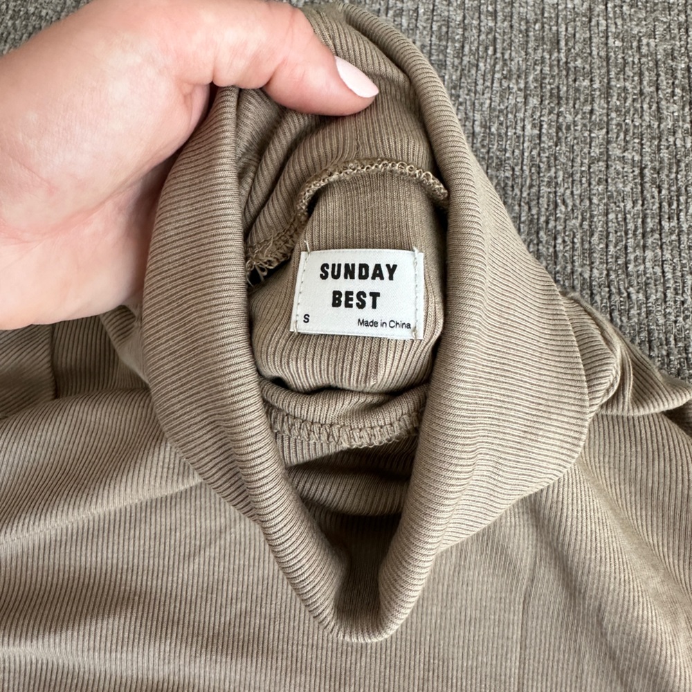 Aritzia Turtleneck